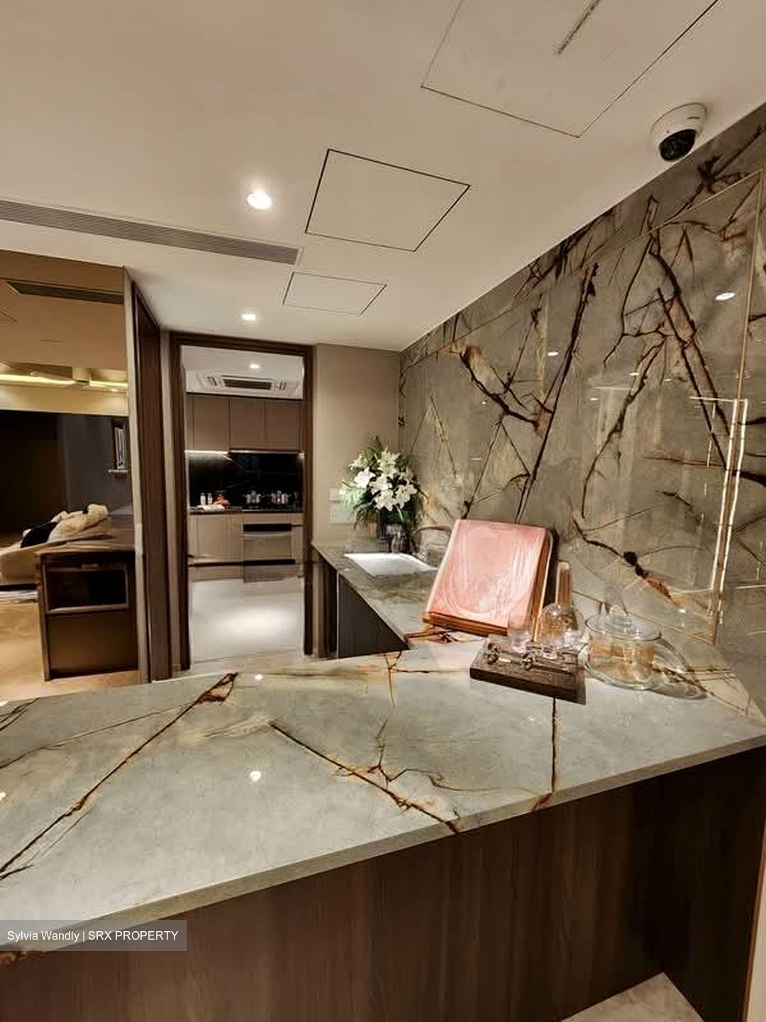 Grand Dunman (D15), Apartment #586249711
